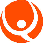 QI Solution - logo